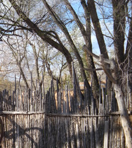 Image - fence made from tree trunks