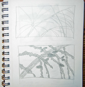 queen-palm-twigs-sketch-1