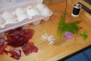 Ellen Lindner dying eggs with onion skins