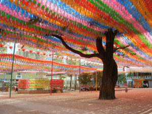 Lanterns on display near Korean Buddhist temple, www.AdventureQuilter.com/blog