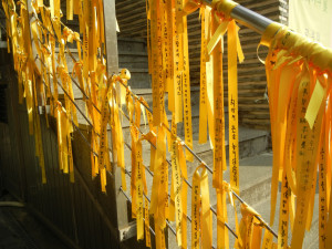 Yellow ribbons in honor of ferry victims