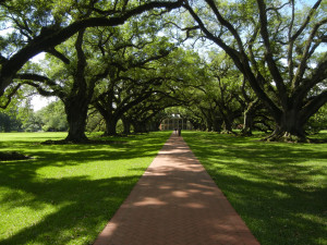 Oak Alley plantation, AdventureQuilter.com/blog