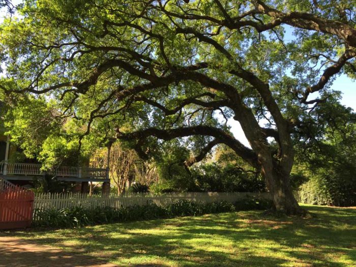 Laura Plantation, Valcharie, LA. Ellen Lindner, AdventureQuilter.com/blog