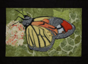 Dub Honey's Butterfly Student results from Ellen Lindner's "Design Your Own Nature Quilt" class. AdventureQuilter.com