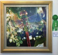 100% Pure Florida 2016 exhibit. Ellen Lindner, AdventureQuilter.com/blog