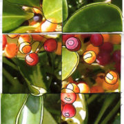 Photo to Abstract. Ellen Lindner, AdventureQuilter.com/blog
