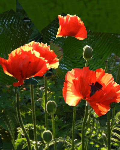 Planning a New Class Sample. Ellen Lindner, AdventureQuilter.com/blog