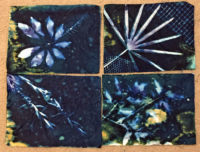 Dirty Dozen Dye Day. Ellen Lindner, AdventureQuilter.com/blog